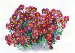 ORIGINAL WATERCOLOR PAINTING Flowers red chrysanthemum bouquet Artwork gift hand painting 11x16 Inch