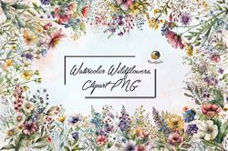 Watercolor Wildflowers Clipart PNG