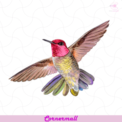 Hummingbirds Are In Flight Png, Trending Svg, Bird Png, Throated Hummingbird Png, Amimal Png