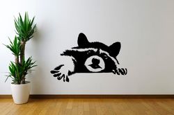 Cute Coon Sticker, Raccoon, Baby Room Sticker, Car Sticker, Wall Sticker Vinyl Decal Mural Art Decor