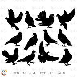 Pigeon Svg, Dove Svg, Pigeon Silhouette, Pigeon Cricut, Stencil Template Dxf, Dove Cricut, Dove Silhouette, Bird Svg