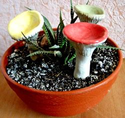 Set of 3. Ceramic russula. Mushroom Planter Decoration