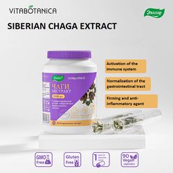 Siberian chaga extract 90 pcs. capsules