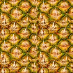 Pineapple Peel 24 Seamless Tileable Repeating Pattern