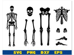 Skeleton Parts SVG, Halloween svg, Skeleton svg, Skeleton Bones parts svg, Skeleton Bones svg, Skeleton Cricut Cut Files