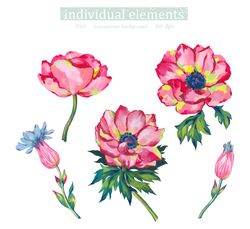 Illustration set anemone flowers painted in oil with large strokes