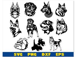 Dog Bundle svg, Dog svg Cricut, Dog png Bundle, Bulldog svg, Dog Rottweiler svg, Dog Doberman svg, Shepherd svg