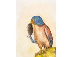 Eurasian kestrel original watercolor painting windhover art predatory bird of prey with mouse wilderness hawk artwork