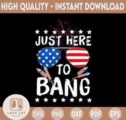 Funny 4th Of July Im Just Here To Bang USA Flag Sunglasses PNG, American Flag, Funny Independence Day, 4th of July Png