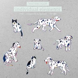 Watercolor set dalmatian dogs and cats, Clipart.
