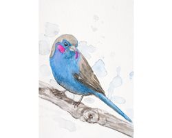 Red cheeked cordon bleu finch original watercolor painting blue bird wall art small songbird artwork abstract chaffinch