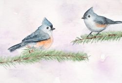 Tufted Titmouses original watercolor painting couple of two little song birds wall art Titmouse bird artwork home decor