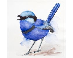 Splendid fairy wren bird original watercolor painting Australian little blue sapphire songbird exotic nursery wall art