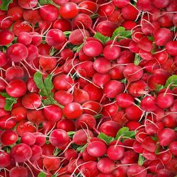 Radishes Seamless Tileable Repeating Pattern