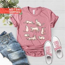 Cute Cat Box Shirt, Cat Shirt, Cat Mom Shirt, Cat Lovers Gift, Crazy Cat Lady Tee, Cute Cat Tee, Cat Lovers Tee, Funny C