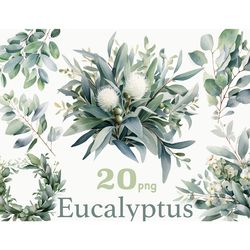 Eucalyptus Clipart Bundle | Greenery PNG