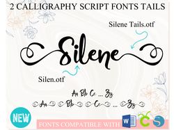 Font with Tails | Romantic Fonts, Script Fonts, Beautiful Fonts, Cursive Font, Handwritten Font, Wedding font