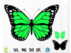 Butterfly svg, Butterfly Green Layered SVG, Butterfly vector file, Butterfly png, Butterfly clipart, Butterfly svg files