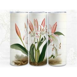 Crinum Macowanii Flower Digital Art, Sublimation, 300dpi Straight Skinny 20 oz Tumbler Wrap, Fabrics, Wall Canvas, POD,
