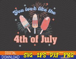 You Look Like 4th of July svg, Patriotic svg, Funny 4th of July svg,4th of July Svg, Eps, Png, Dxf, Digital Download