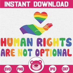 Human Right Are Not Optional LGBT Svg, Say Gay Png, LGBTQ Pride Png, Human Rights Png, LGBT Png, Digital Download