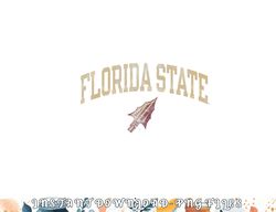 Florida State Seminoles Vintage Arrowhead png, digital download copy