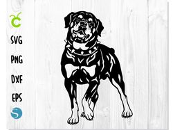 Dog Rottweiler SVG Stencil | Dog svg, Rottweiler svg, Rottweiler vector, Dog png, Dog Stencil svg, Dog Rottweiler png