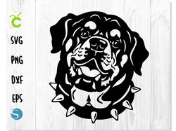 Dog Rottweiler Head Collar SVG | Dog svg, Rottweiler svg, Rottweiler vector, Rottweiler Head dxf, Dog Rottweiler png