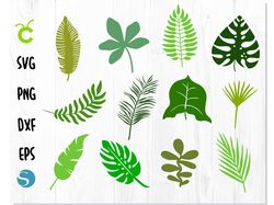 Jungle Leaves Tropical SVG | Tropical leaves svg bundle | Tropical Party Decor Svg, Leaf Cut File, Jungle Clip Art