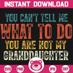 You Can't Tell Me What To Do You Are Not My Granddaughter Svg, Vintage Funny Grandpa Svg, Retro Dad Svg, Father's Day