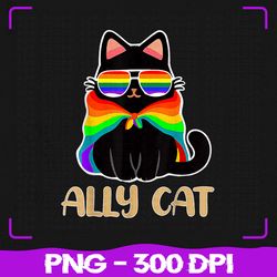 LGBT Ally Cat Be Kind Gay Rainbow Png, Funny LGBTQ Png, LGBT Png, Sublimation, PNG Files, Sublimation PNG, PNG