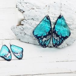 enchanting turquoise butterfly wing earrings stylish unique gift for her cute bohemian women accessory whimsical jewelry