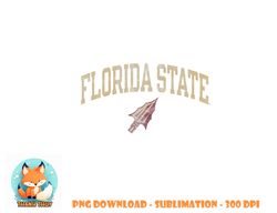 Florida State Seminoles Vintage Arrowhead png, digital download copy