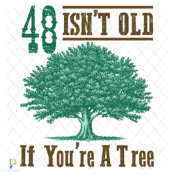 48 Isnt Old If You Are A Tree Svg, Birthday Svg,