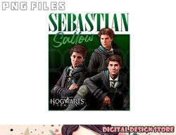 Harry Potter Hogwarts Legacy Sebastian Sallow Collage png, digital download copy