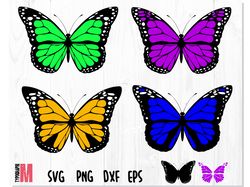 Butterfly Bundle Layered SVG | Butterfly svg, Butterfly vector file, Butterfly png, Butterfly clipart, Butterfly svg