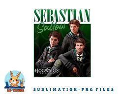 Harry Potter Hogwarts Legacy Sebastian Sallow Collage png, digital download copy