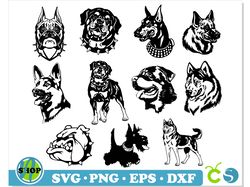 Dog SVG Bundle | Dog svg Cricut, Bulldog svg, Dog Doberman svg, Shepherd svg, Dog Rottweiler svg, Dog clipart, dog svg