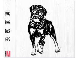 Dog Rottweiler SVG Stencil | Stencil Dog png svg dxf, Rottweiler svg, Stencil Rottweiler Dog vector, Dog Stencil svg