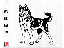 Stenci Dog West Siberian Laika SVG DXF PNG | Dog svg, Laika svg, Siberian Laika vector, Siberian Laika dxf Dog Laika svg