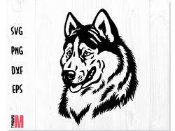 Stencil Dog West Siberian Laika Head SVG PNG DXF | Dog svg, Laika svg, Siberian Laika vector, Siberian Laika dxf