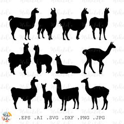 Llama Svg, Alpaca Svg, Llama Cricut, Llama Silhouette, Llama Templates Dxf, Llama Clipart Png, Alpaca Silhouette