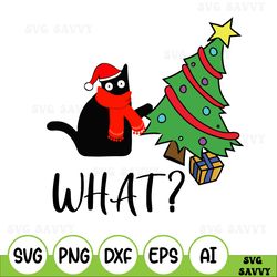 Cat What Svg, Funny Black Cat Wearing Santa Hat Christmas Svg, Merry Catmas Meowy Xmas Svg, Cats Lovers GifSvg