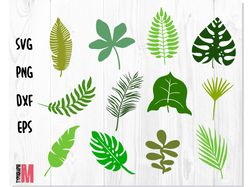 Jungle Leaves Tropical SVG PNG | Tropical leaves svg bundle | Tropical Party Decor Svg, Leaf Cut File, Jungle Clip Art
