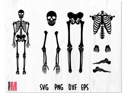 SKELETON PARTS SVG, Skeleton svg, Skeleton Bones parts svg, Halloween svg, Skeleton Cricut Cut Files, Skeleton Cut Files