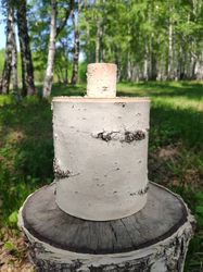 Natural white birch bark box