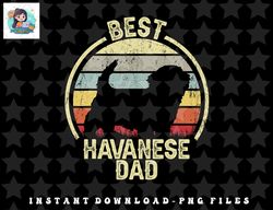 Best Dog Father Dad - Vintage Havanese png, sublimation, digital download