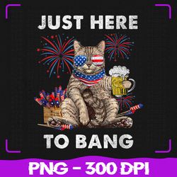 Just Here To Bang USA Png, Flag Funny Beer Png, 4th Of July Cat Lover Png, 4th of July Png, Sublimation, PNG Files