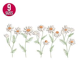 Daisy Wildflowers embroidery design, Machine embroidery pattern, Instant Download