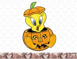 Looney Tunes Halloween Tweety Bird Pumpkin png, sublimation, digital download